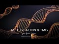 Vido du mois  mthylation  tmg par bruno lacroix  juin 2023