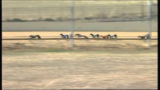 SHP SUN 22 MAR 15 R12