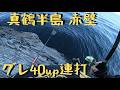 真鶴赤壁でメジナ釣り 40up連発 後編 #フカセ釣り #磯釣り #メジナ釣り MANCING MANIA JAPAN