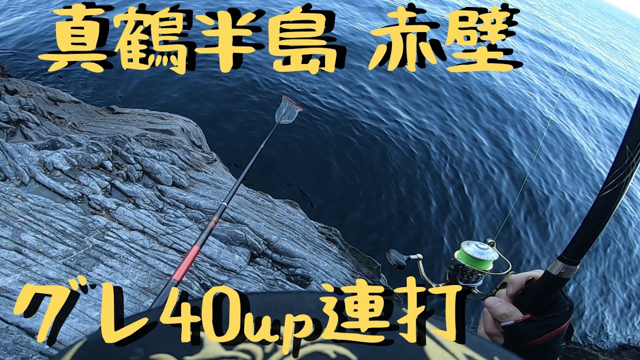 Fishing for Opaleye at the Manazuru Red Cliffs: Catching One 40cm+