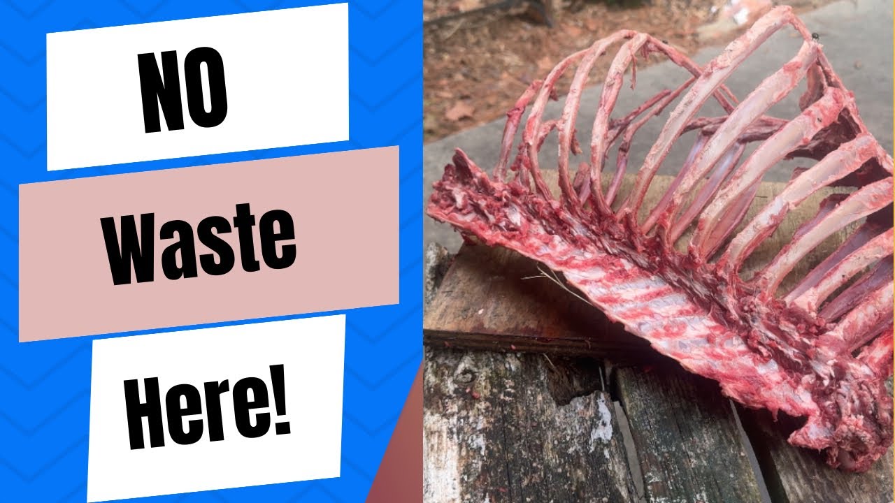 Processing Deer Ribs How to Process Deer Ribs (Most People Skip This) Random Wednesday - YouTube