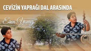 Eren Yavuz - Cevizin Yaprağı Dal Arasında Resimi