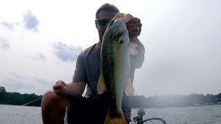 Bass fishing Logan Martin lake early June 2025