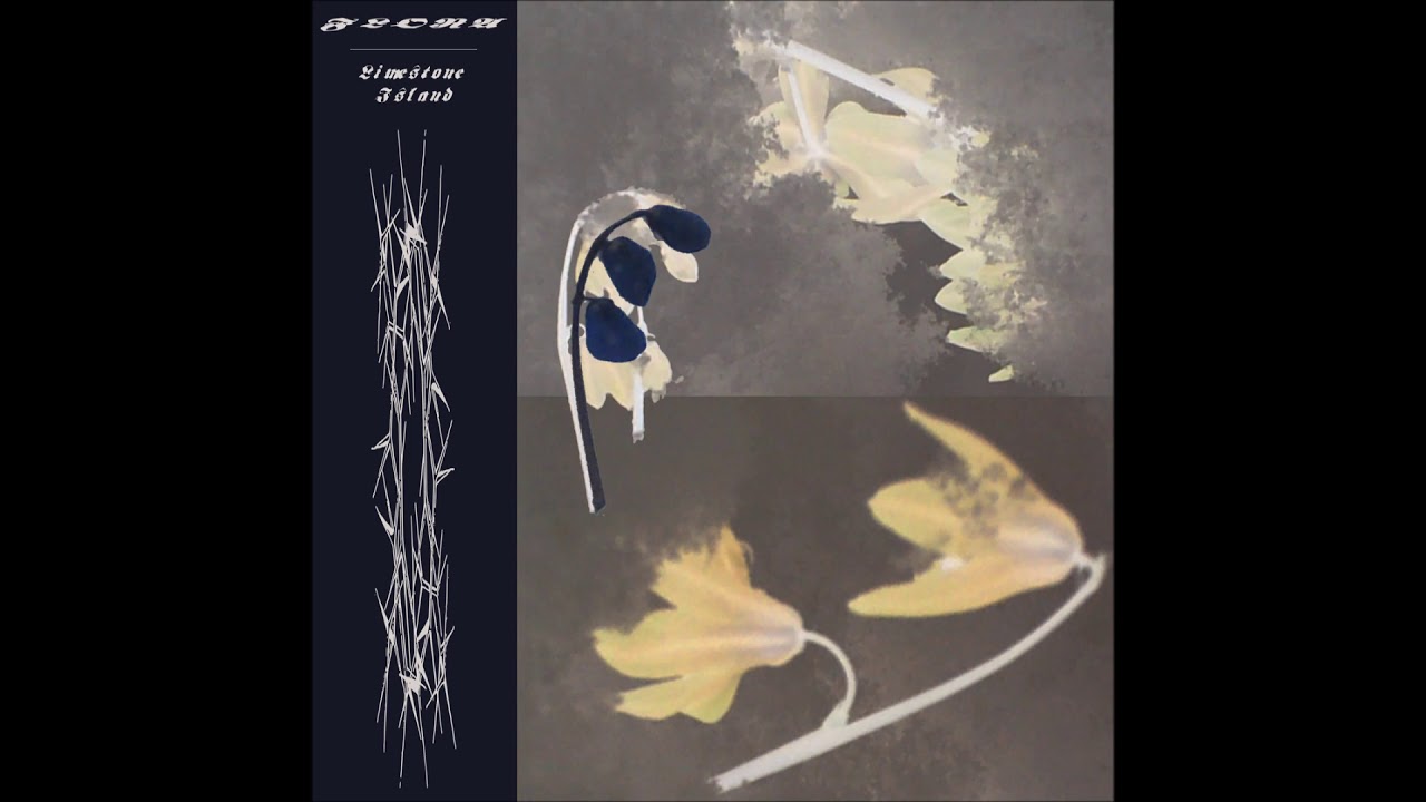 FLORA - Limestone island [FLORA2]