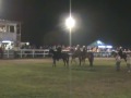 Spellbound Flat Shod Racking Horse winning Amateur Racking Clintwood Memorial Show