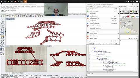 RHINO DEVELOPER: GhPython Script: Rhino Common 002_4_WS
