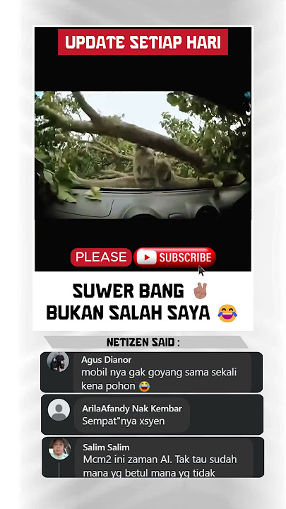 Monyet Ini Jatuh dari Pohon, Tapi Ekspresinya lucu!#funnyvideo #lucu #viral #fyp