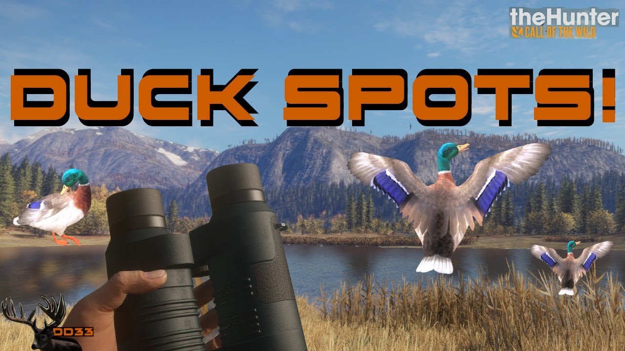 Finding Duck Hunting Locations Real Talk Call Of The Wild Thehunter 18 Youtube
