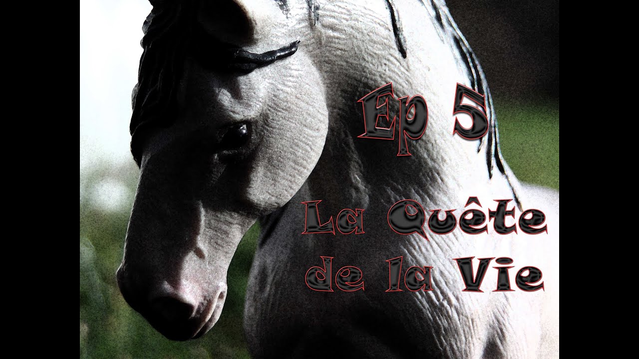 La Quête de la Vie - Episode 5 - YouTube