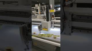 Richpeace Single Head Quilting Machine for Quilts Duvet Comforters Sofa Cover Headboard