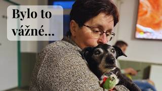 Muk bojoval… a my jsme se báli 💔