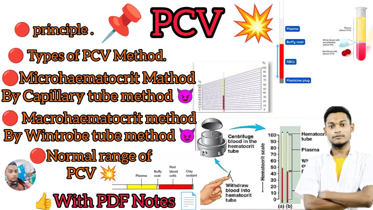 "PCV Test 💥| Packed Cell Volume Test Explained | Normal Range, 👍 ...