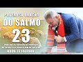 Poderosa orao do salmo 23  para que as benos de proviso se manifestem na sua vida pr jernimo