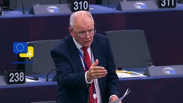 The Cost of Disunity Will Be Devastating! Europe Must Wake Up NOW! MEP Vytenis Povilas Andriukaitis