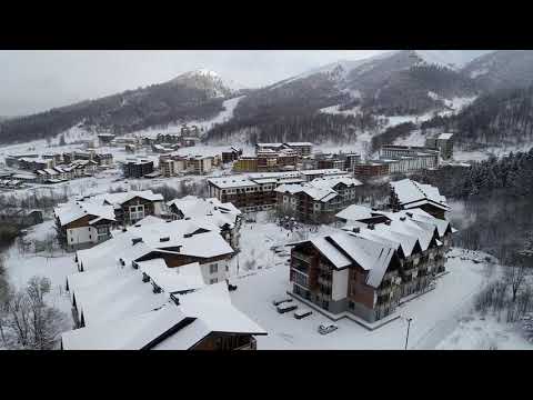 არქტური