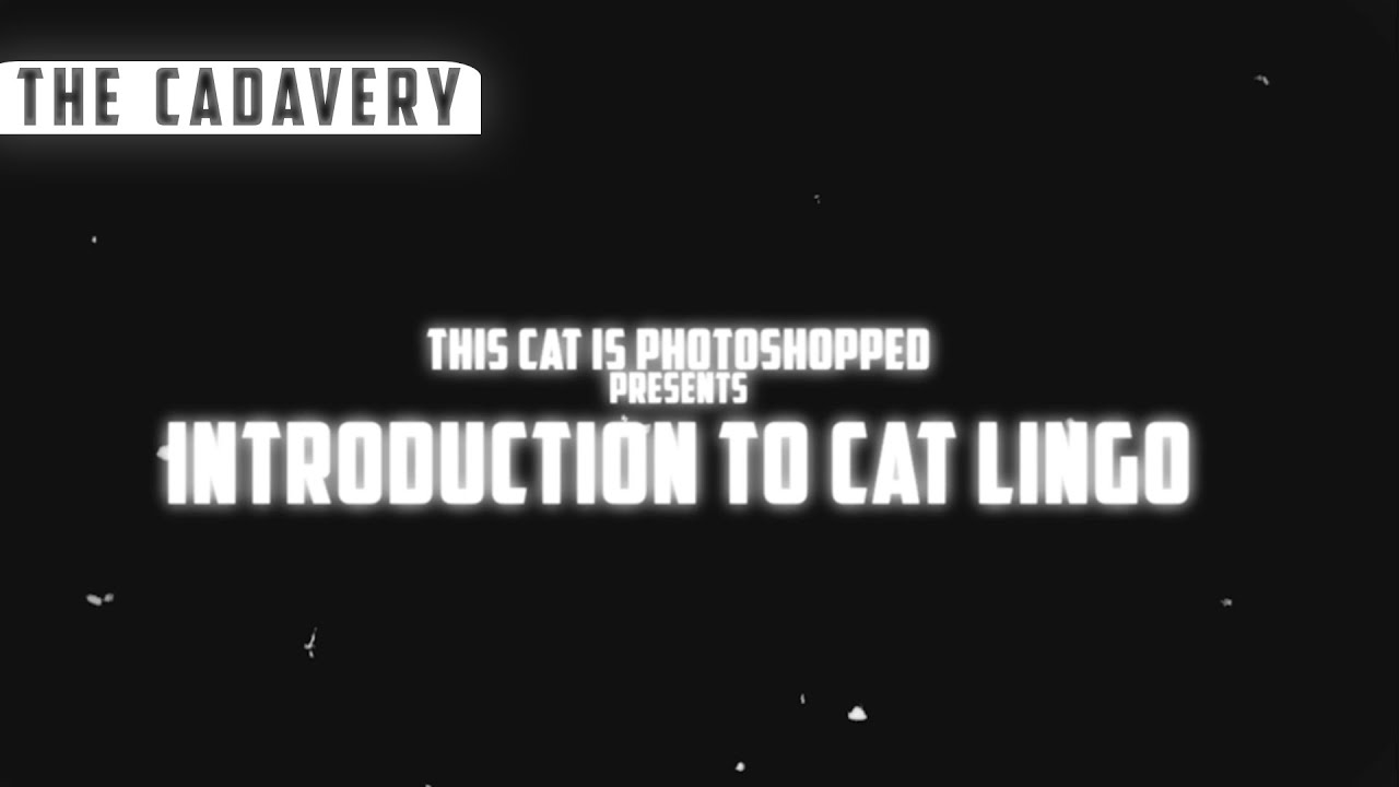 Introduction To Cat Lingo - A 1930's Instructional Film