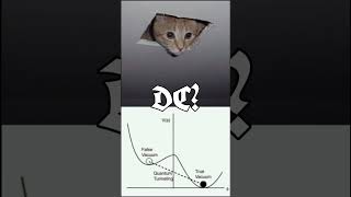 ceiling cat negs your favorite verse