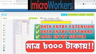 Microworker Data Entry software/extension/server | Data Entry auto accept tricks screenshot 1