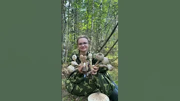 ОКАЗЫВАЕТСЯ, ЭТА ПОГАНКА - СЪЕДОБНЫЙ ГРИБ! ВЫ БУДЕТЕ ШОКИРОВАНЫ!