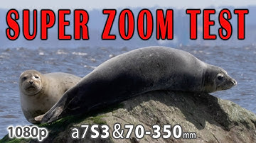 ZOOM LENS TEST Clear Image Zoom + crop (Sony a7Siii 70-350mm 1080p)