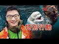 我們玩耍地方曾經血流成河，聖勞倫斯營救！M2特別行動：Ray與粉絲在岸邊的講述