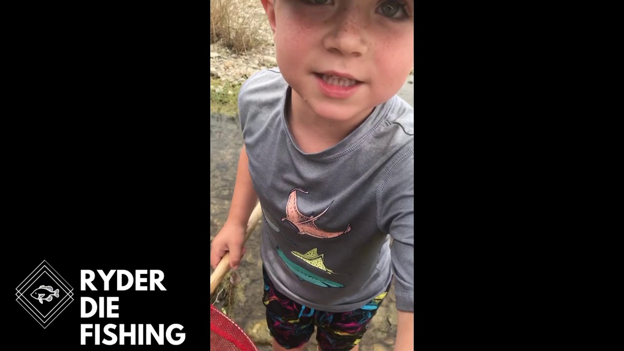 Bait trap fishing at the creek 