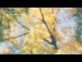 FAIRY TALE - Michael Learns To Rock