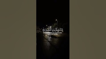 ﴿وَلا تُخْزِنِي يَوْمَ يُبْعَثُونَ﴾ ❤️‍🩹#القرآن_الكريم #تلاوة_خاشعة #quran