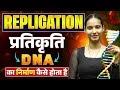 DNA प्रतिकृति (Replication) | DNA Replication in #nidhimam #pw #nidhimambiology
