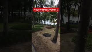 наступили муссоны, шторм, дождь, ветер