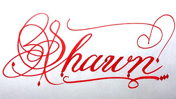 Shawn Name Signature Calligraphy Status | How to write with Cut Maker  #calligraphy #cursive