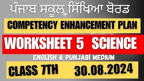 Class 7  SCIENCE Worksheet 5 solution 30.08.2024 english and punjabi medium