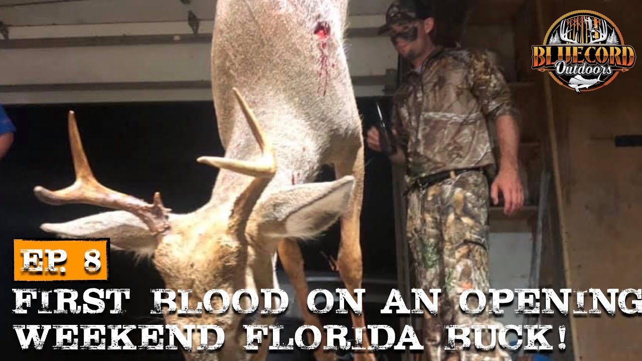 Whitetail Down During Opening Weekend of Bow Season YouTube