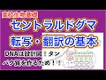 高校生物基礎「転写・翻訳」