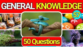 General Knowledge Quiz Trivia 57 📚💡| Can You Answer All 50 Questions Correctly? 2024 by QuizzyQuest 12,912 views 1 month ago 12 minutes, 7 seconds