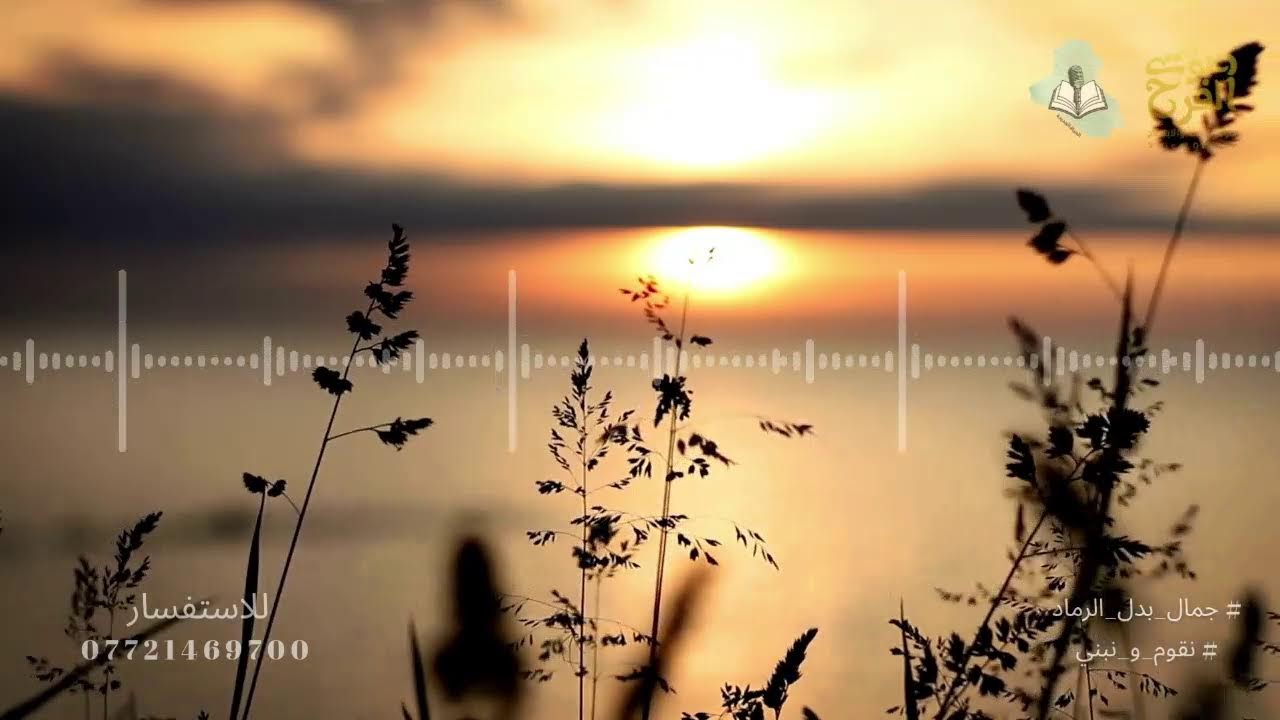 برنامج مصباح الخير