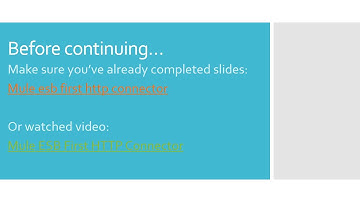 Mule ESB Add logger to existing flow