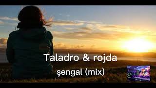 Taladro & Rojda şengal  (mix) BARAN MUZİC Resimi