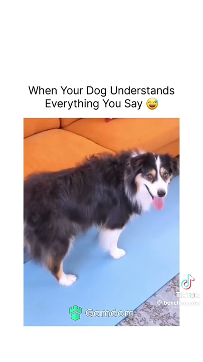 LIKE THIS IF YOU UNDERSTAND WHY I POST THIS TO SHOW YOU THIS 🤔 ✌🏽🩵🕯