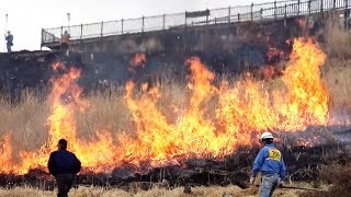 春の訪れを告げる野焼き　熊本・阿蘇山