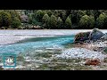 River in Forest to Sleep, Study or Relax. River Sounds with DARK SCREEN at 5 Mins.