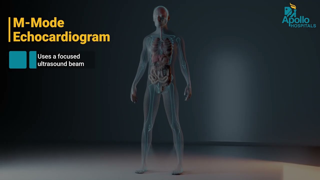 Echocardiogram Explained: Heart Ultrasound, Function & Doppler Study | Dr. Hari Prasad | Apollo