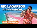 LAS COLORADAS 🇲🇽 RIO LAGARTOS YUCATAN ✅ GUIA COMPLETA  🔴 Que hacer, donde hospedarse | Mexico