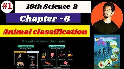 10th Science 2 Chapter No 6 Animal Classification|EASY TRICK TO LEARN  CHAPTER|Board Exam 2024.