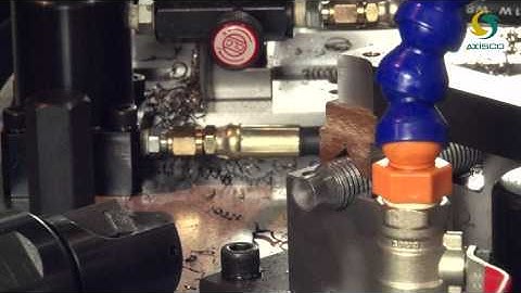 Rotary Machine with load & unload gantry robot