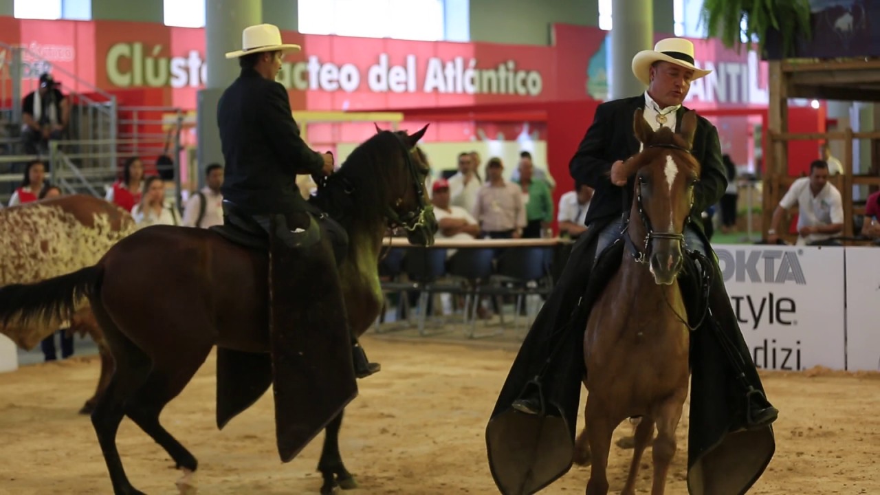 barranquilla plaza Así vivimos las grandes ferias en Puerta de Oro. Octubre