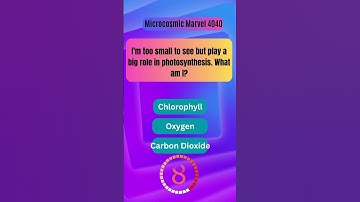 🤔 Crack the Code: Dive into the Mystery of This Mind-Blowing Riddle Challenge!