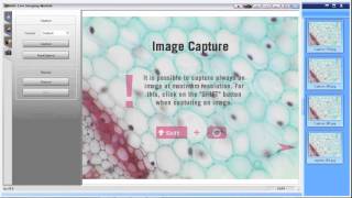 motic images plus 2 first steps ASIA USA