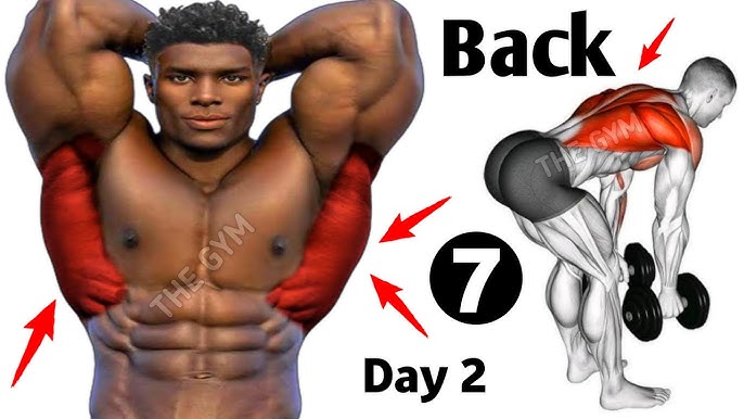 6 Big Chest Exercises - Day 1 Chest Workout - THE GYM 