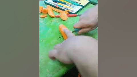 Cắt tỉa cá chép hướng dẩn